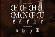 Lonika Modern Elegant Serif Font, a Serif Font by Vadovastd (Thumbnail 4 of 9)