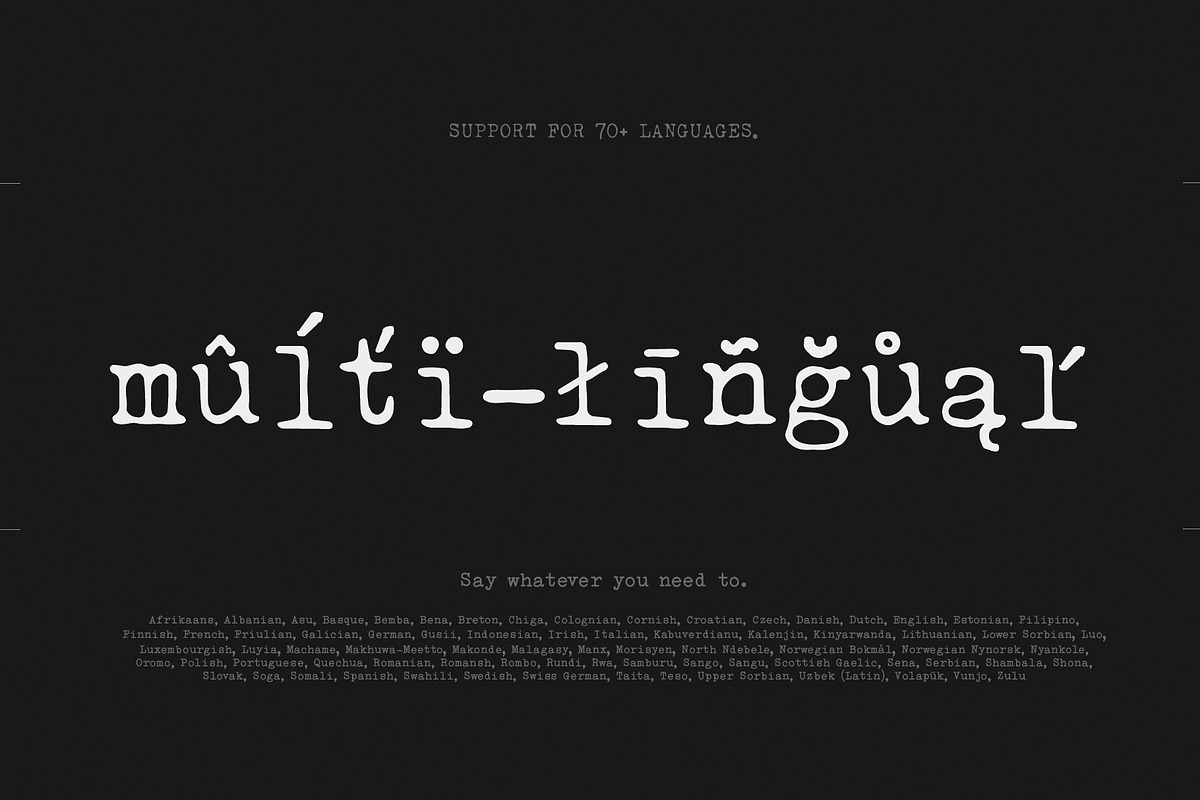 Merchant Ledger - Typewriter Family, a Serif Font by Twinbrush (Photo 5 of 20)