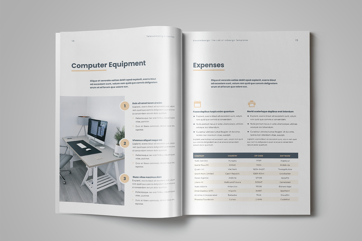 Telecommuting Guidelines Template, a Templates & Theme by StockInDesign (Photo 8 of 9)
