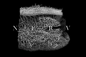 30 NERV Textures vol.1