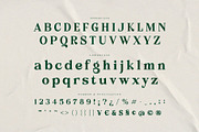 Belcino — Editorial Serif Font, a Serif Font by Almeera Std (Thumbnail 9 of 10)