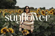 Fanlste Ligature Typeface Font, a Serif Font by Storytype Studio (Thumbnail 7 of 13)