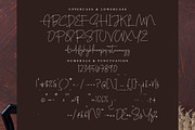 Skalinyas, a Script Font by operatype.co (Thumbnail 13 of 15)