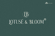 Modern Chic Refined – Elegant Serif, a Serif Font by MaxArt Foundry (Thumbnail 5 of 20)
