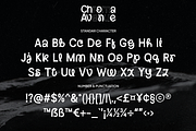 Chroma Avenue Duo Sans, a Sans Serif Font by Haps Space (Thumbnail 8 of 11)