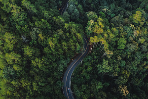 Mountain road in green forest rainy season