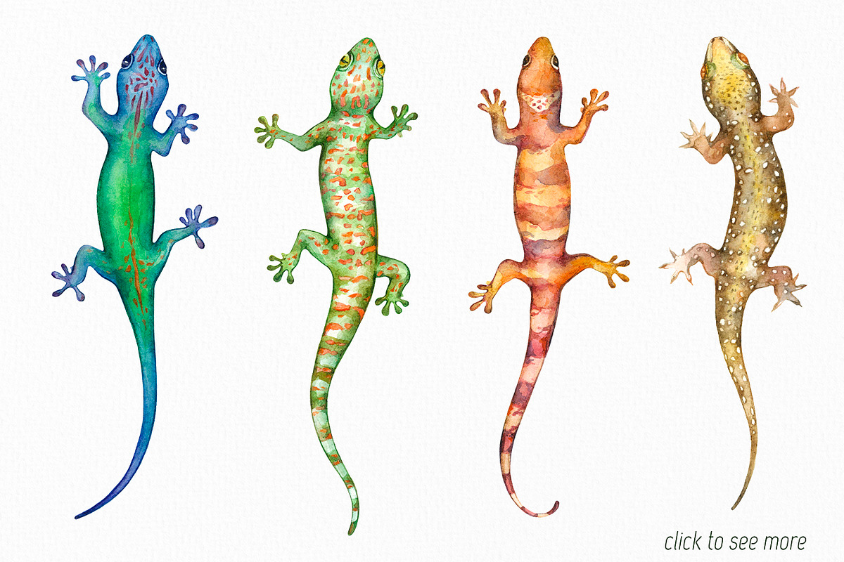 Tropic life Watercolor set, an Animal Illustration by Green_leaf_17 (Photo 3 of 6)