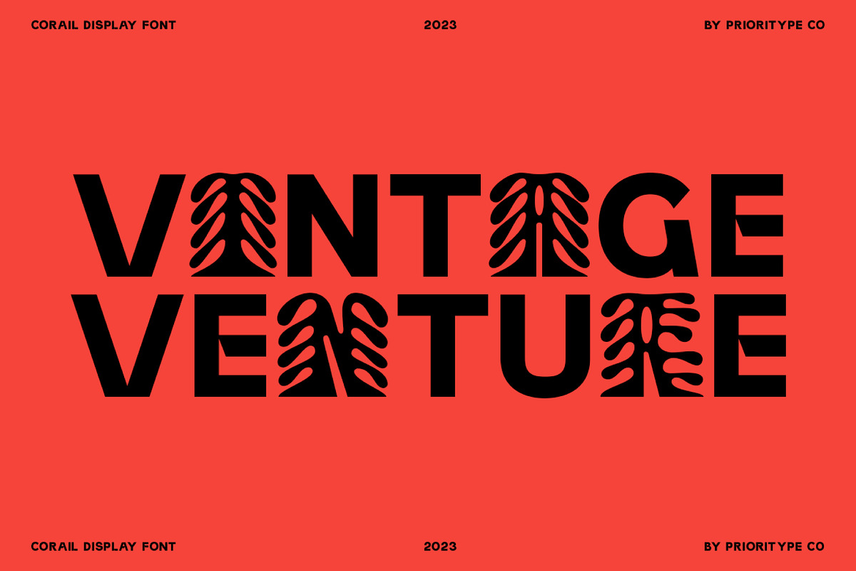 Corail Display Font - Tropics Font, a Sans Serif Font by Prioritype Co (Photo 9 of 11)