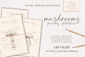 Sketchbook Mushrooms Vintage Art