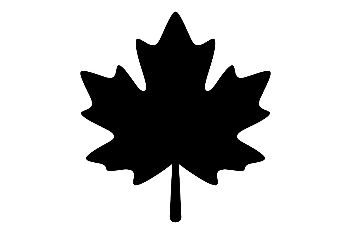 Maple Leaf Oak Leaf Autumn, an Object Graphic by Gfx_Store (Photo 15 of 15)
