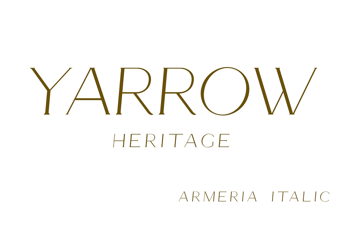 Armeria - serif font, a Serif Font by Art pages (Photo 8 of 8)