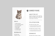 Cat Resume Template, a Resume Template by MightyDesign (Thumbnail 2 of 8)