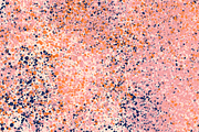 Splatter Backgrounds, a Texture Graphic by Marinastu (Thumbnail 3 of 10)