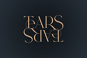 SALE! Type Maestro + Quasar font duo, a Serif Font by VP Fonts (Thumbnail 7 of 18)