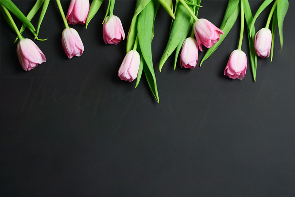 Tulips on Black Styled Desktop, a Product Mockup by The Ginger Snaps Co