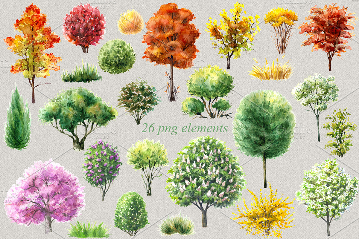 Watercolor  Trees and Bushes, a Decorative Illustration by Valentyna Smordova (Photo 6 of 6)