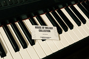 House Of Melody Bundle 02, an Advertising Mockup by Mockup Flock (Thumbnail 3 of 5)