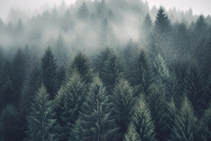 Misty mountain landscape stock photo, a Nature Photo by Virgo Studio