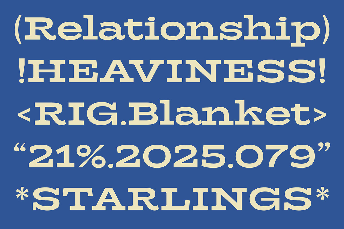 Girk - Variable Slab Serif, a Slab Serif Font by Adam Fathony (Photo 4 of 16)