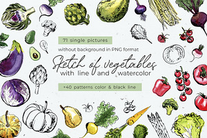Vegetables vector sketch watercolor