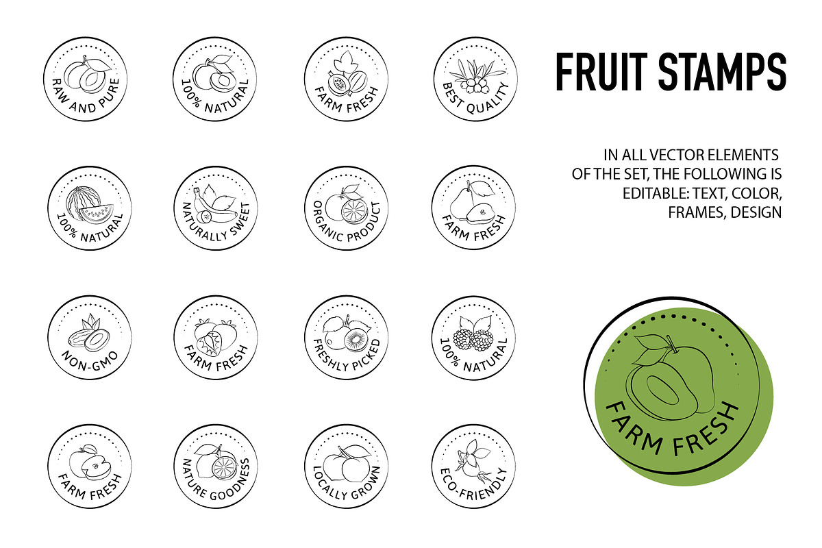 Fruit Design Kit – Vintage Templates, a Food Illustration by Lettering_Logo (Photo 10 of 14)
