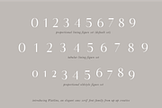 Flatline Sans Complete - 16 fonts, a Sans Serif Font by Up Up Creative (Thumbnail 9 of 10)