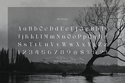 Drogel | Display Serif Font, a Serif Font by gracetype_studio (Thumbnail 10 of 12)