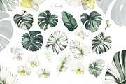 Tropical Seamless Patterns, a Pattern Graphic by Lisima (Thumbnail 14 of 16)