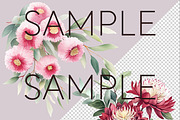 Australian Watercolur Flowers Mega, a Decorative Illustration by Pawcasso's Portraits (Thumbnail 3 of 10)