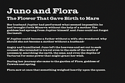 Vintage Press Font Duo, a Serif Font by Lilithcollageart (Thumbnail 13 of 16)
