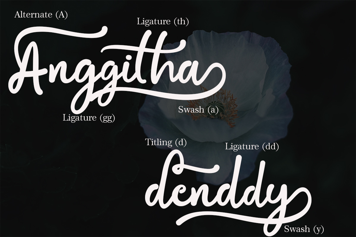 Bialletta, a Script Font by Yoga Letter (Photo 9 of 9)