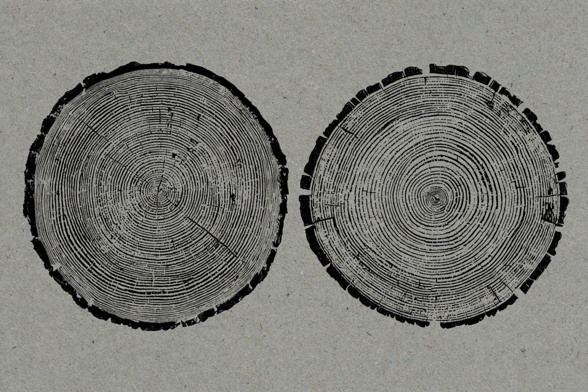 26 Large Tree Ring Textures, a Texture Graphic by Offset