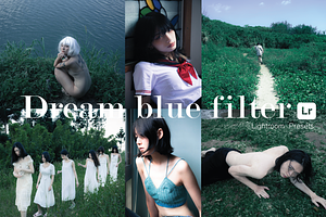 Lightroom Presets-Dream Blue