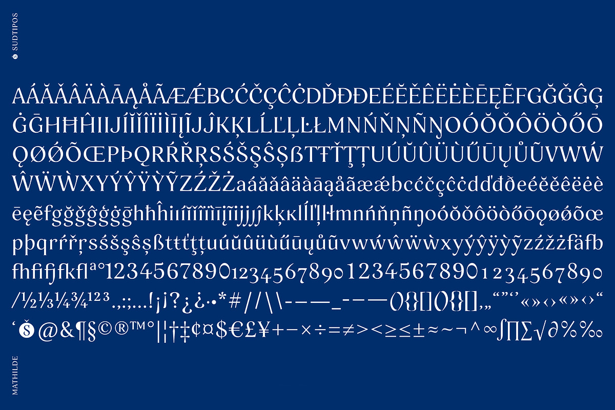 Mathilde, a Serif Font by Sudtipos (Photo 8 of 8)