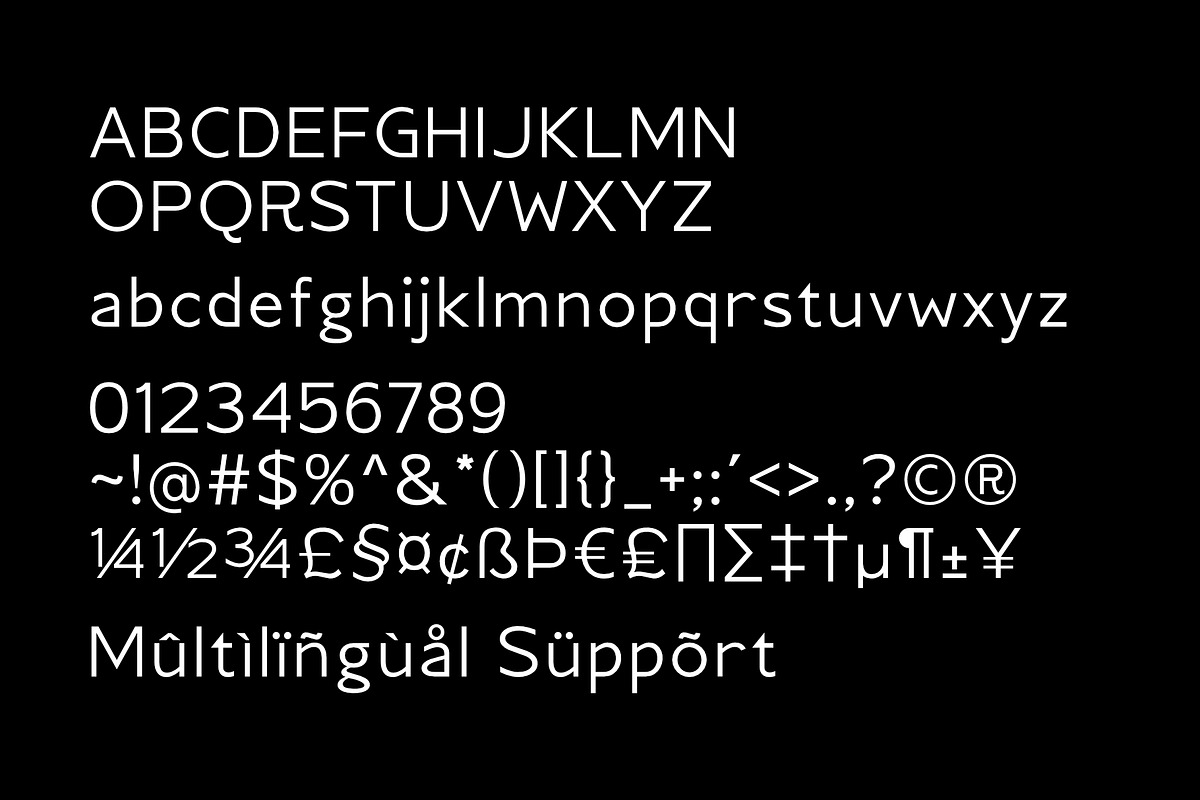 Cadge Sans - A Sans Serif Family, a Sans Serif Font by Sealoung (Photo 13 of 13)