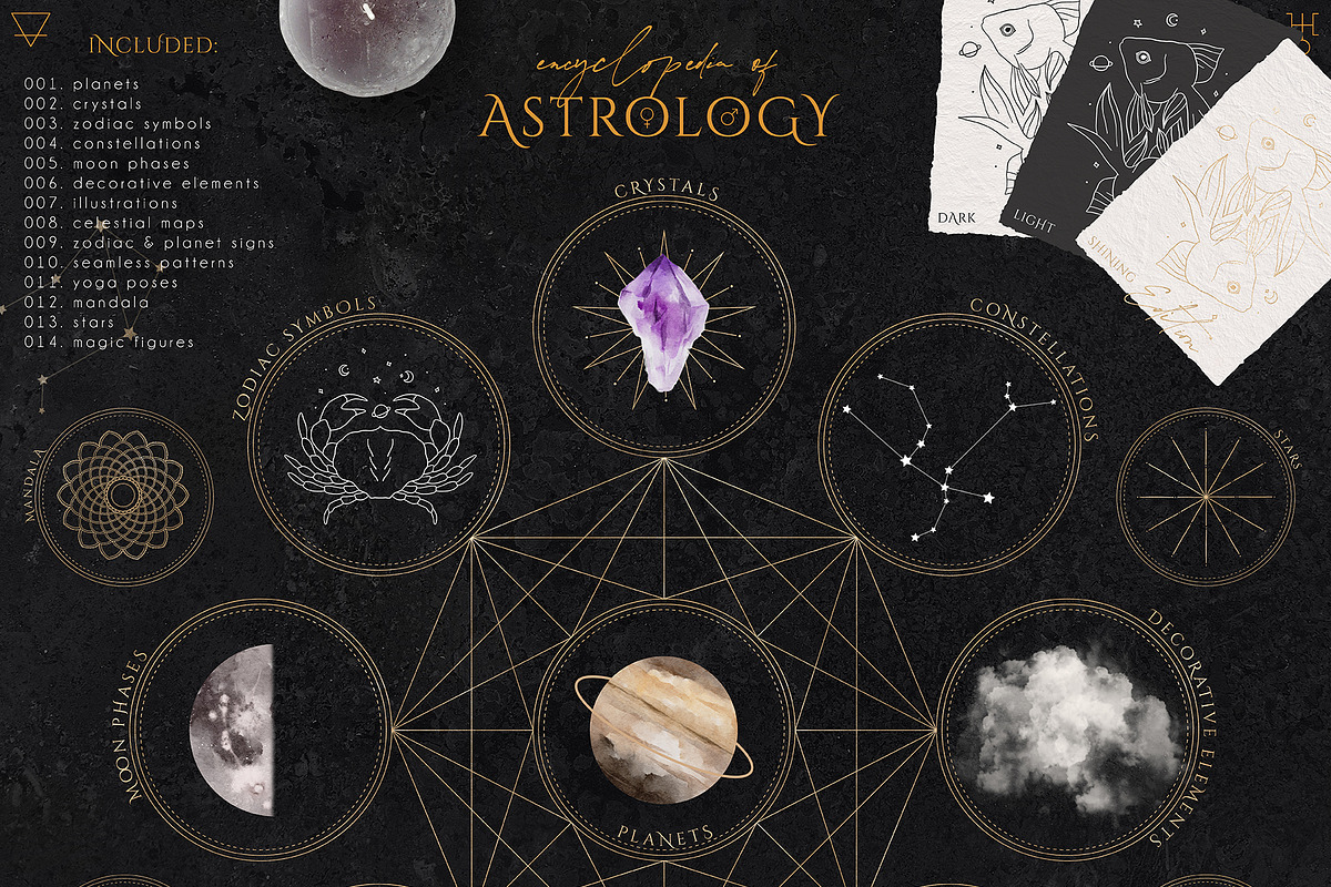 Encyclopedia of Astrology, an Animal Illustration by Julia Dreams (Photo 2 of 14)