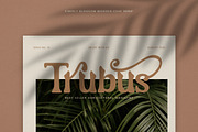 Cherly Blossom Modern Chic Serif, a Serif Font by Creatype Studio (Thumbnail 6 of 9)