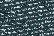 Eclarish - Serif Typeface Font, a Serif Font by Rishsketch (Thumbnail 8 of 15)