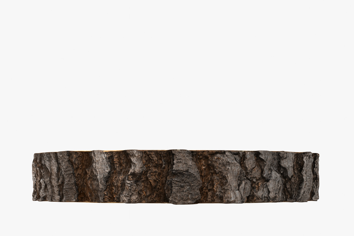 Wood Log Slice, an Environmental 3D Model by 3D_PikNik (Photo 8 of 15)