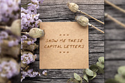 Reto Script Font, a Script Font by xresch (Thumbnail 7 of 7)