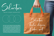Sanitizer Eticulate Stylish Font, a Script Font by stylishtype.co (Thumbnail 2 of 20)