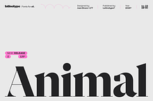 Animal