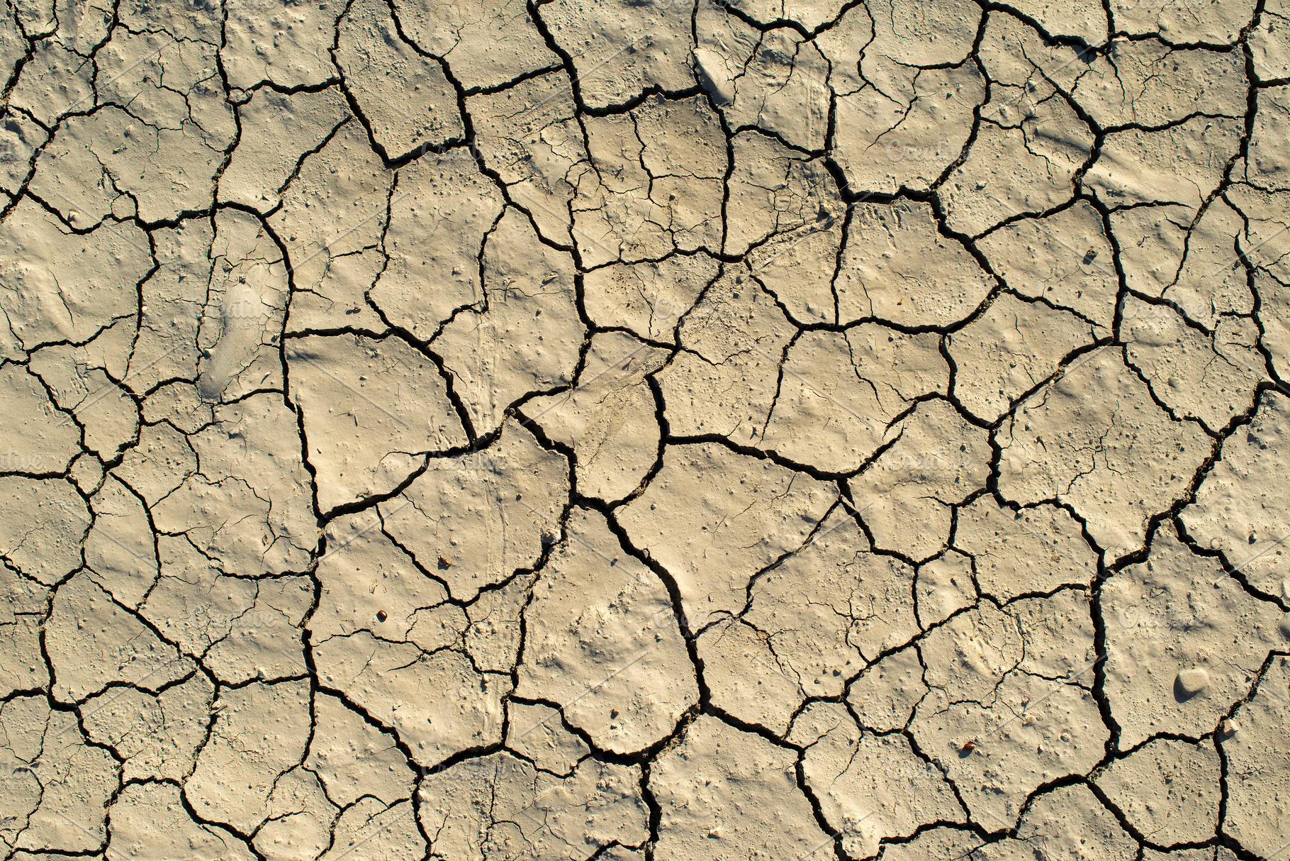Cracked soil texture hard shadows a stock photo containing cracked and soil, a Nature Photo by Deyan Georgiev