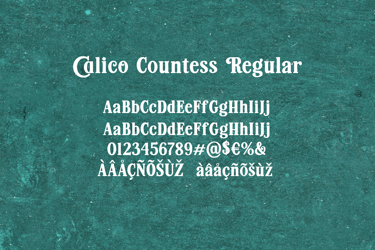Calico Countess Font, a Serif Font by Aldiwangsadipa (Photo 6 of 12)