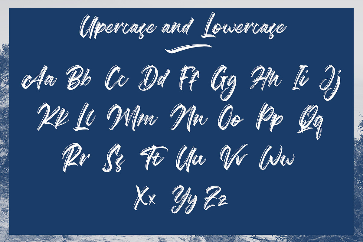 Agathias, a Script Font by Cepeye (Photo 10 of 11)