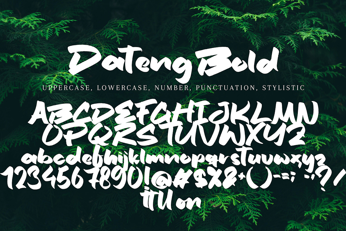 Dateng Bold, a Handwritten Font by pineungtype (Photo 7 of 7)