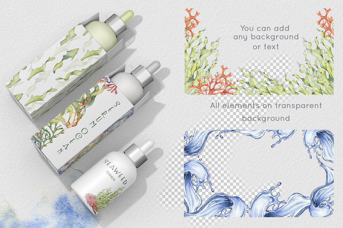 Sea plants watercolor collection, an Illustration by Kate Lanbina (Photo 9 of 18)