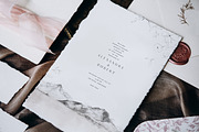 Autumnal - Graphic Collection, an Animal Illustration by Isabelle Salem (Thumbnail 11 of 11)