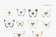 Watercolor White Butterflies, a Decorative Illustration by ThaismotaCreativeCo (Thumbnail 2 of 5)