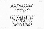 The Eliven Editorial | 7 Font Style, a Serif Font by IM Studio (Thumbnail 13 of 15)